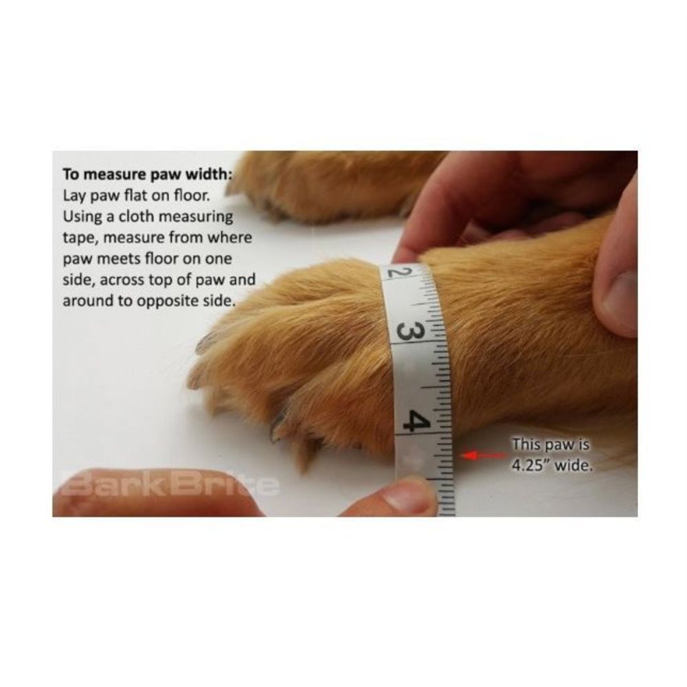 Bark Brite All Weather Reflective Neoprene Dog Pet Boots, 4 count NWT - Picture 8 of 10